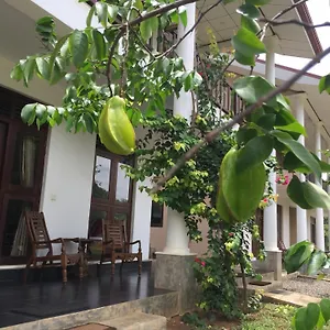  Maison d'hôtes Goddess Garden